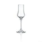 Чаша за аперитив Rona Grappa 6050 100ml