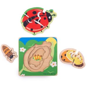 Bigjigs – Многослоен пъзел на жизнения цикъл – Калинка - Technomani