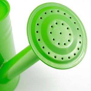 Bigjigs – Градинска лейка Bigjigs – Градинска лейка – Зелена - Technomani