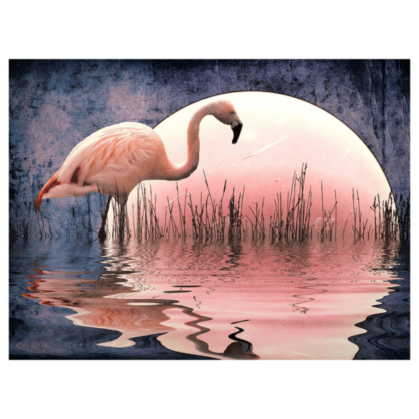 Диамантена мозайка – гоблен,30х40см, Фламинго