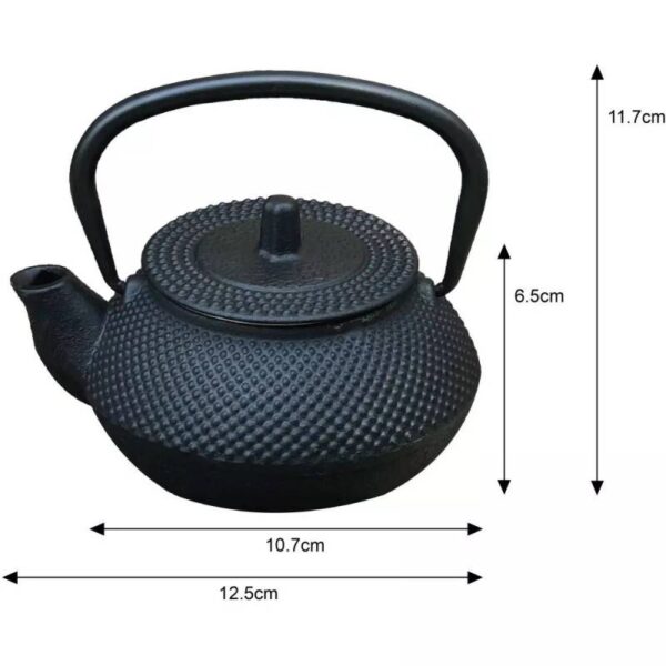 Чугунен чайник Kinghoff KH 1817, 300 ml, Филтър, Индукция, Черен - Technomani